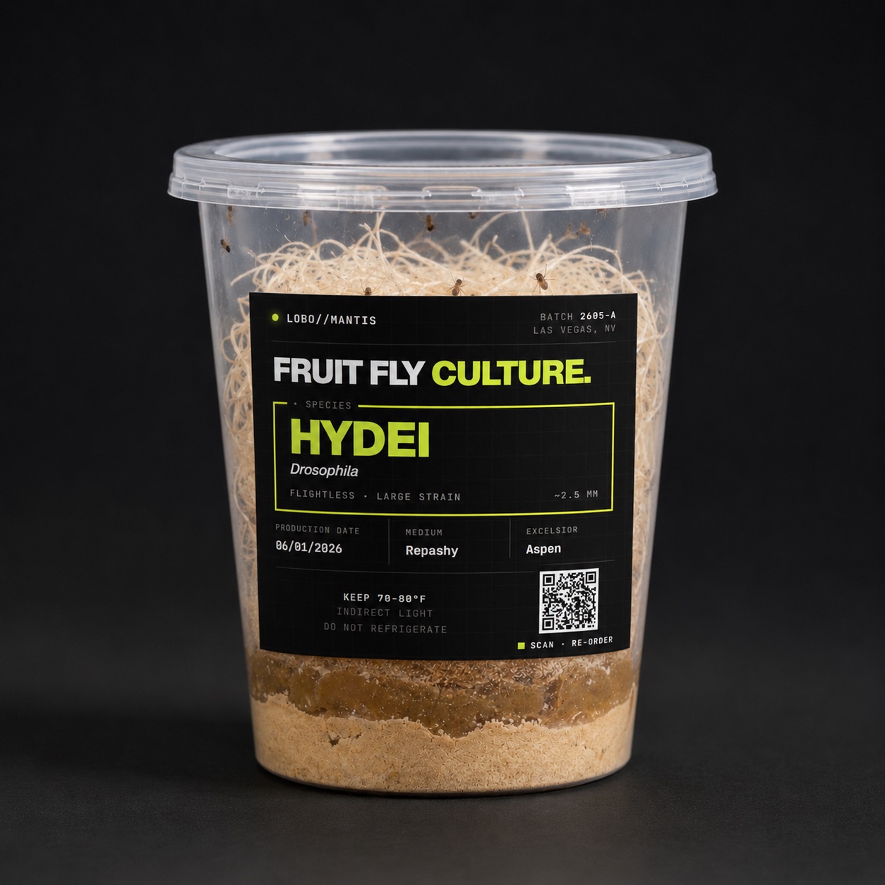 D. Hydei