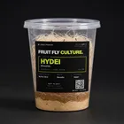 D. Hydei